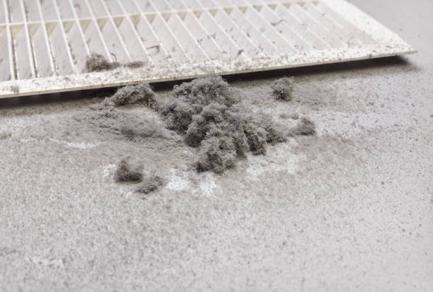 Best Best Air Duct Cleaning Company  in Old Jefferson, LA