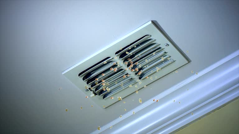 Best HVAC System Cleaning  in Old Jefferson, LA