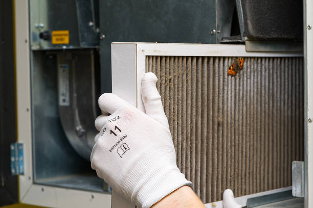 Best Air Vent Cleaning Services  in Old Jefferson, LA